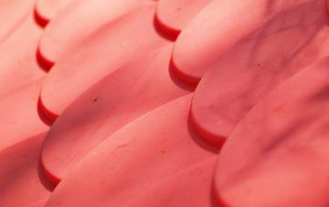 Hackforth plastic roof costs