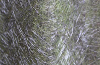 Hackforth fibreglass roof work